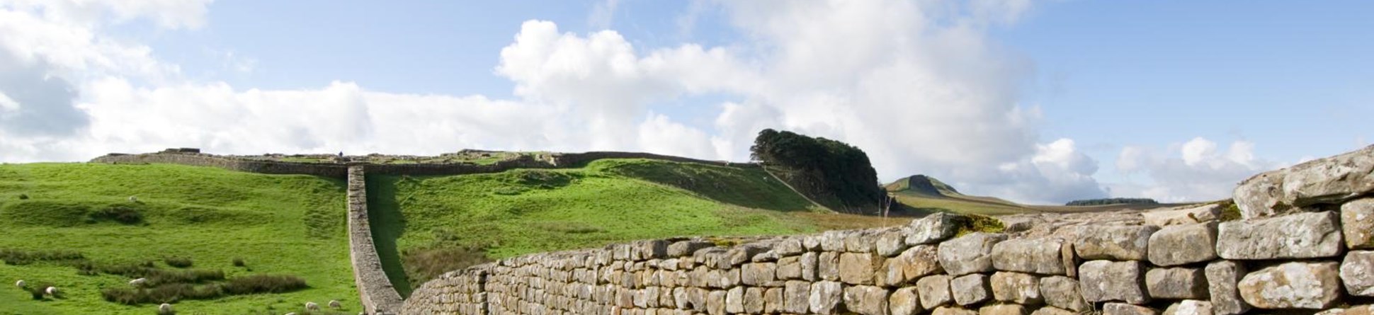 View of section running east from Housesteads Fort.