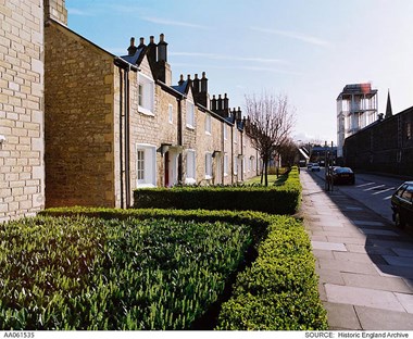 Hedges in Swindon Railway Village Conservation Area.