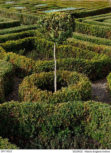 Box hedging in the Boscobel House parterre garden, Shropshire