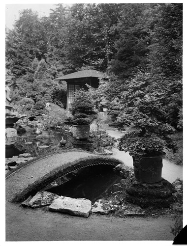 archive black and white photograph of a bridge and summerhouse in an oriental style garden