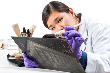 Archive conservator at work