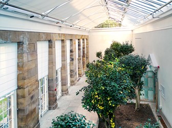 The interior of a botanical building, with growing trees, large windows and white blinds over windows and skylights.