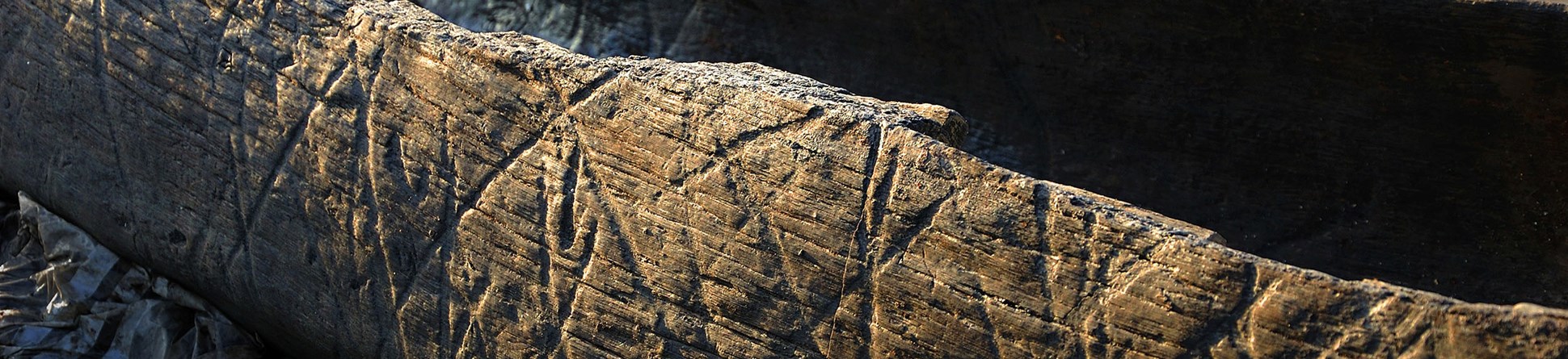 Detail of Boat 1, showing diagonal grooved markings on the interior and exterior of the 6.3m oak logboat which was excavated in 2011–12. This boat, which dates to the Early Iron Age, was found in the Must Farm palaeochannel c. 250m upstream of the location of the current timber platform investigation.