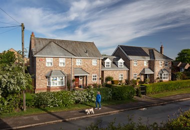 A woman in a blue jacket walks a white dog past a row of suburban houses. Hand-painted rainbows decorate the houses' front windows.