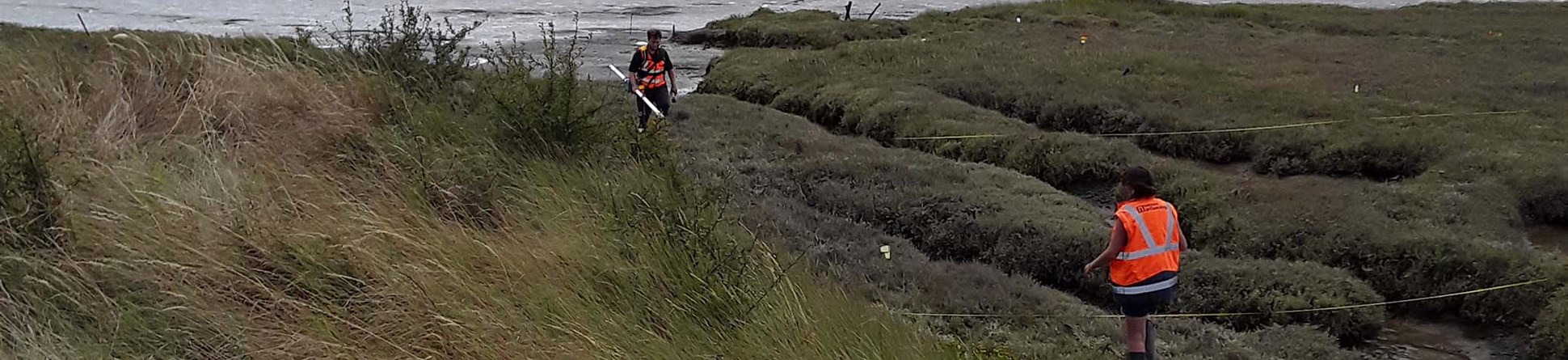 Two people wearing high viz jackets exploring the site of the mud berth