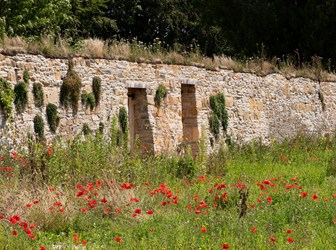 General view of restored gardens to the remains of an Abbey.